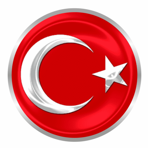 Türkçe Rehberlik Hizmeti