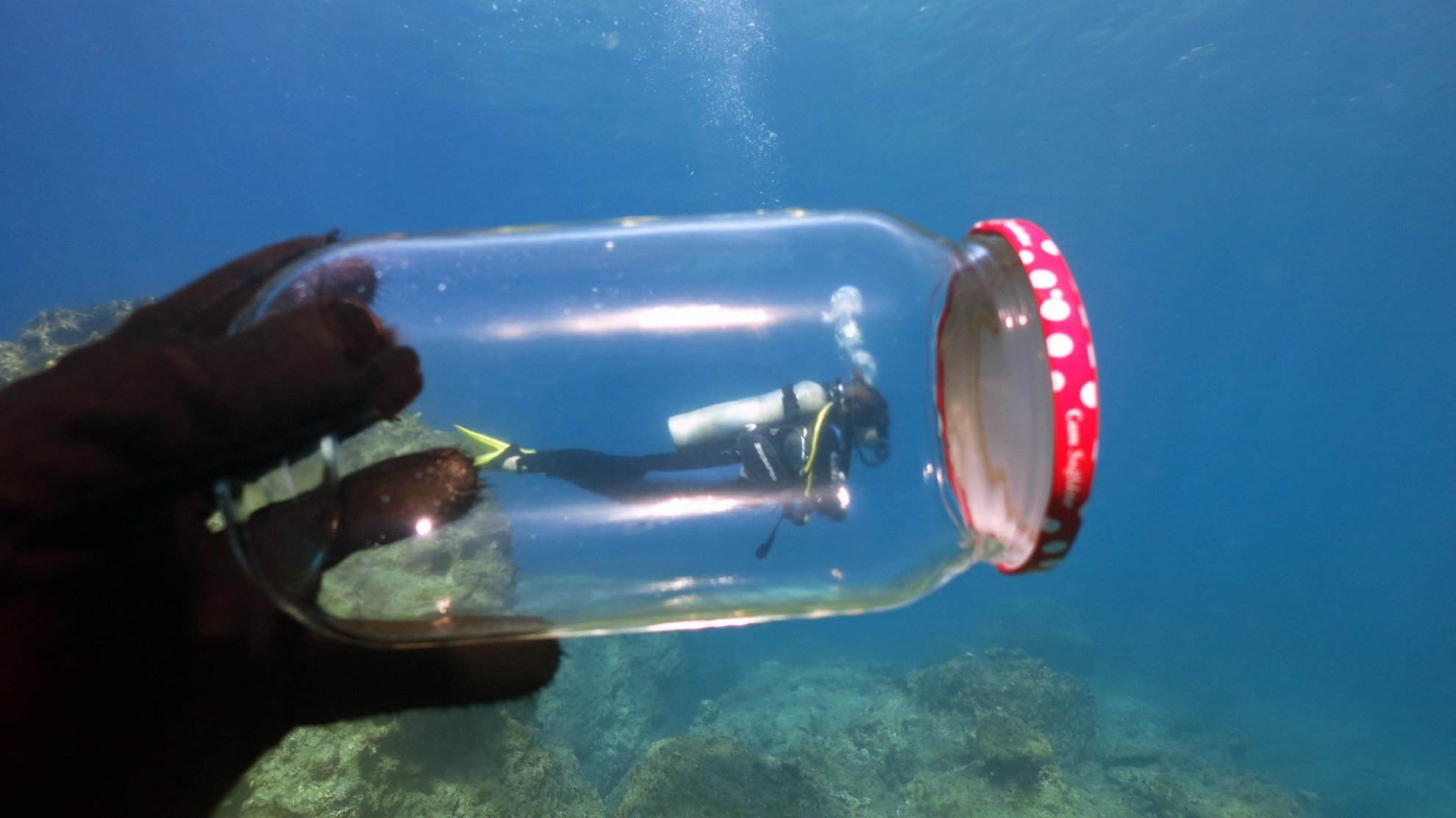 Fethiye Körfezi Tam Gün Tüplü Dalış Macerası - Image 7
