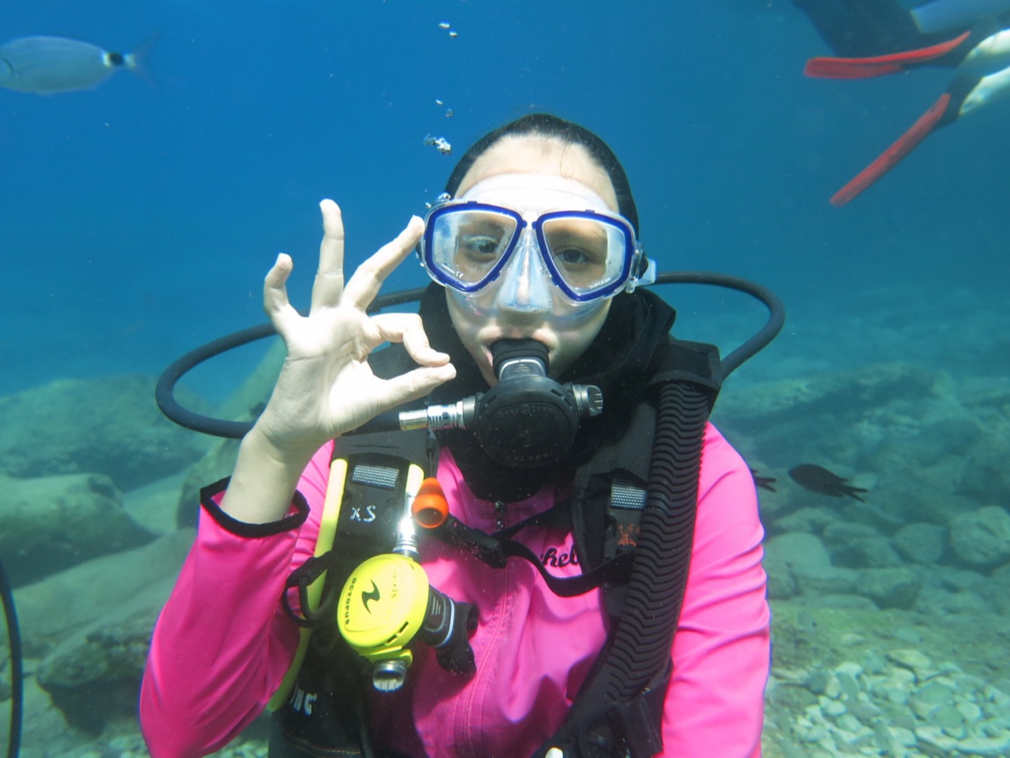 Fethiye Körfezi Tam Gün Tüplü Dalış Macerası - Image 15