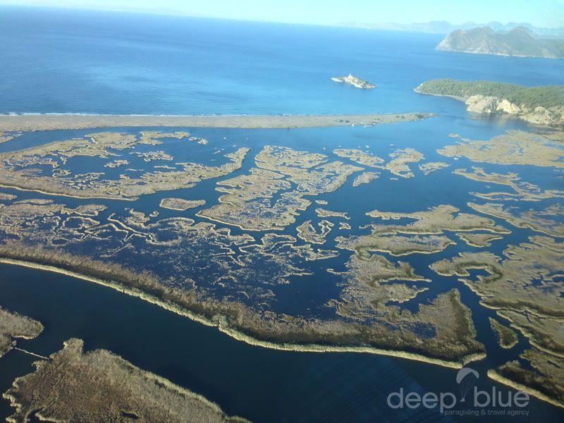 Dalyan Turu: Caretta Caretta'lar, Kral Mezarları ve Çamur Banyosu Macerası - Image 2