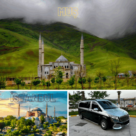 Muş - İstanbul Transferi