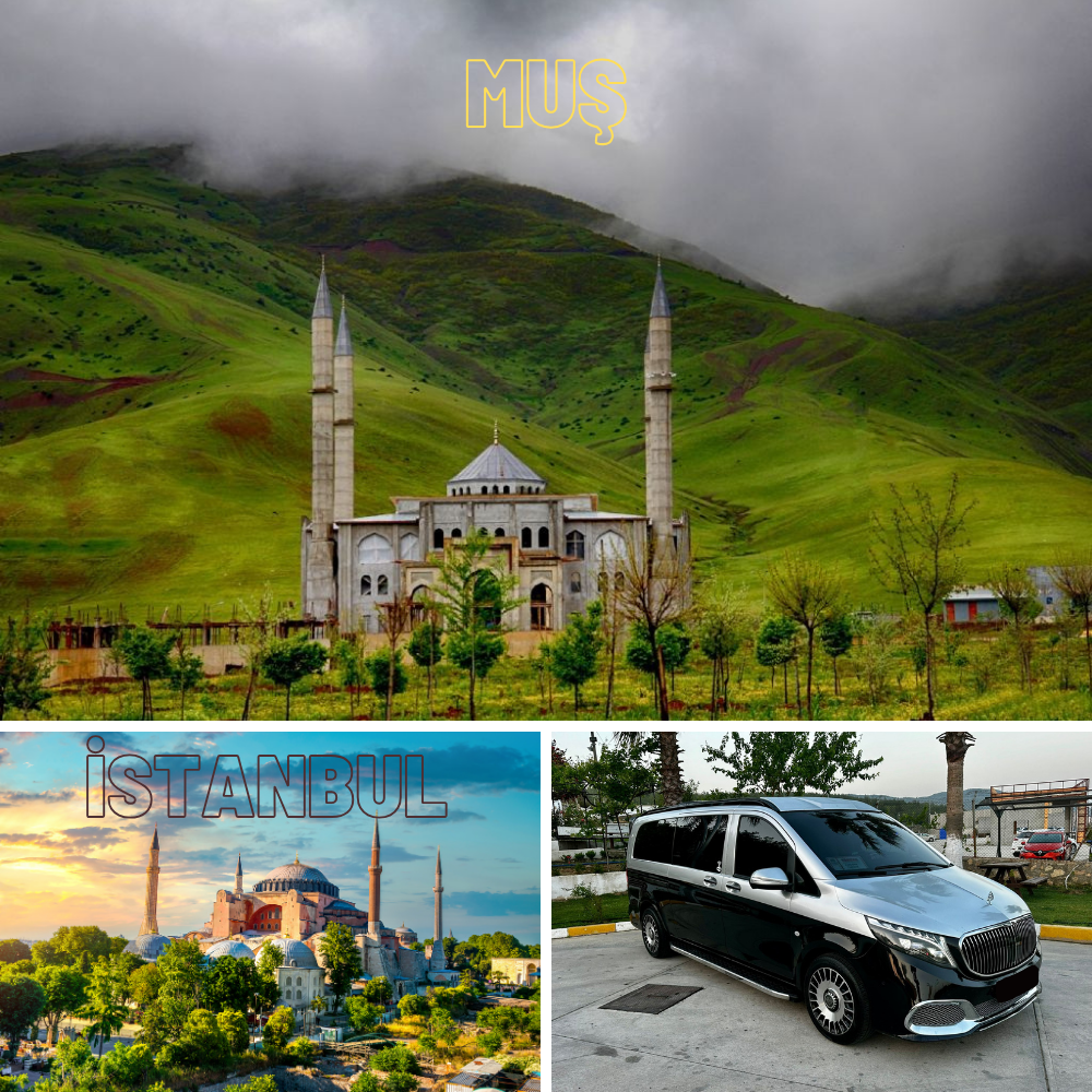 Muş - İstanbul Transferi
