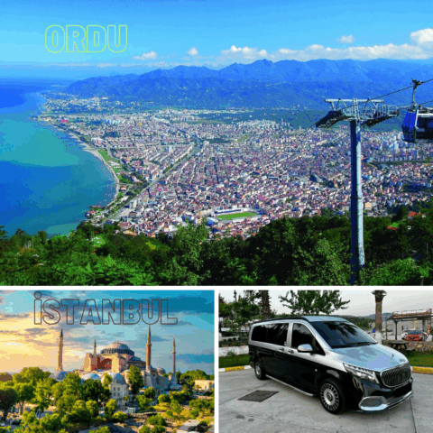 Ordu - İstanbul Transferi